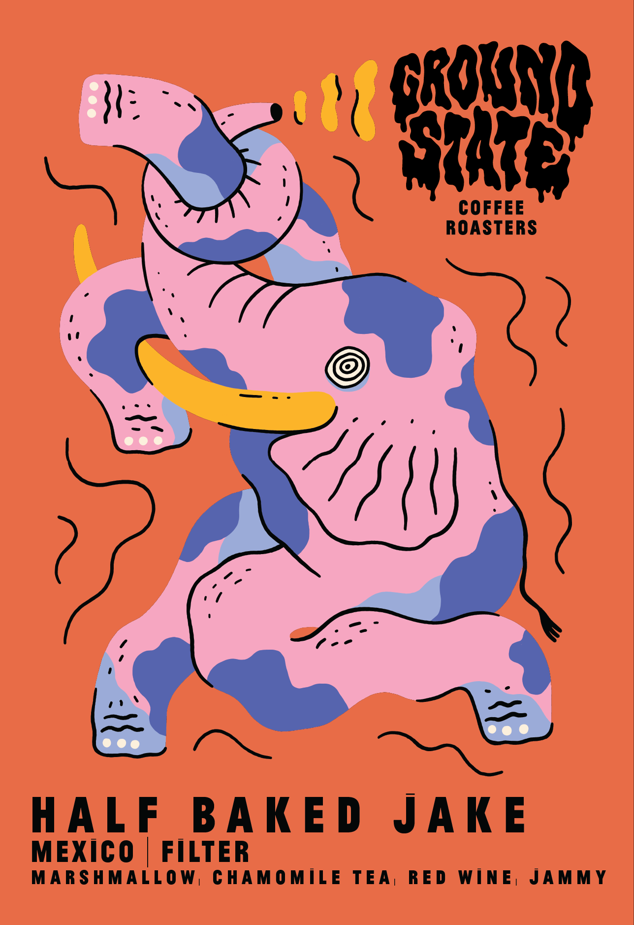Half Baked Jake | Mexico | Filter Coffee Ireland | Marshmallow, Chamomile Tea, Red wine, Jammy