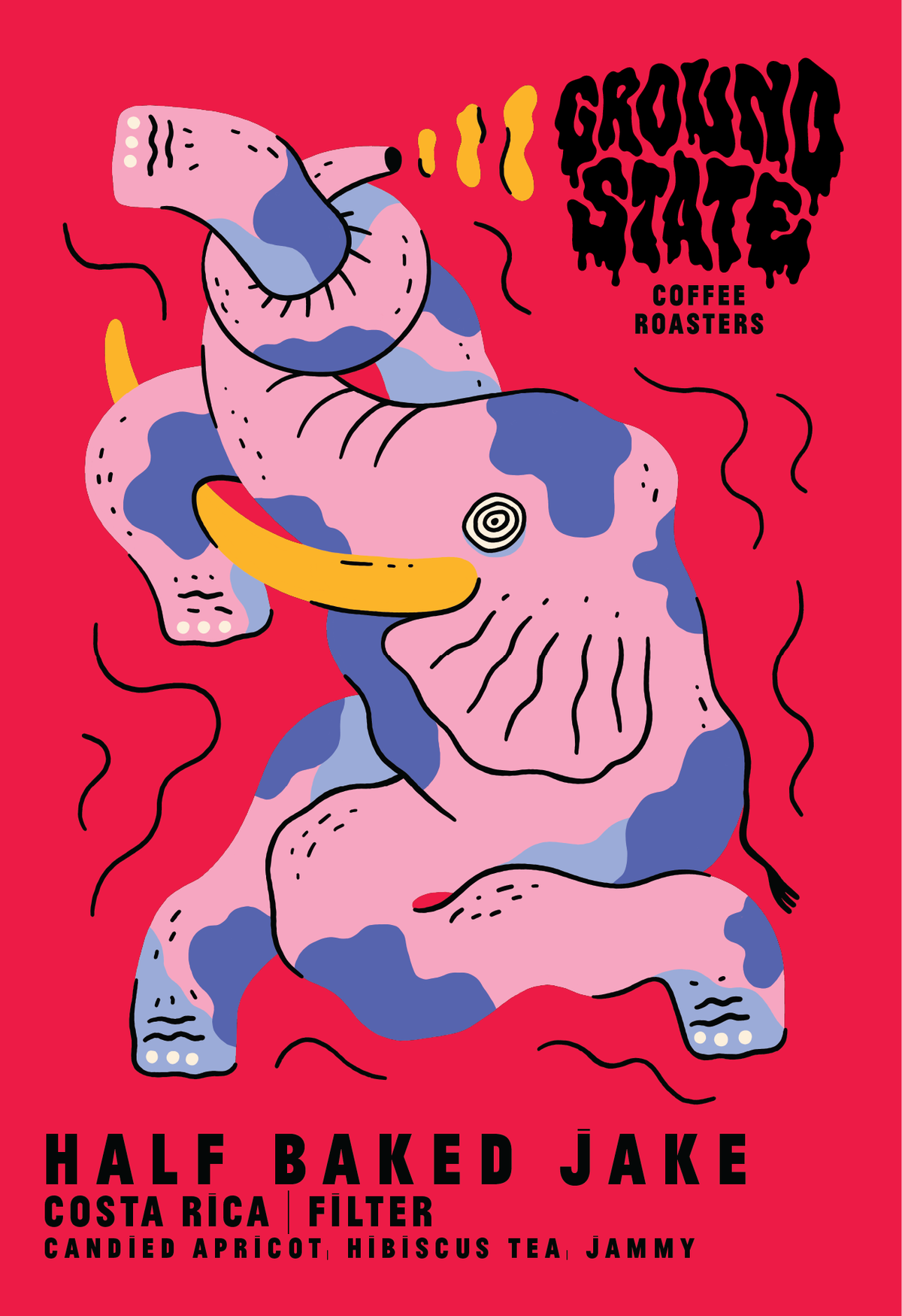 Half Baked Jake | Costa Rica | Filter Coffee Ireland | Candied Apricot • Hibiscus Tea • Jammy